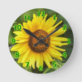 Zonnebloem Ronde Klok