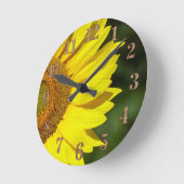 Zonnebloem Ronde Klok (Hoek)