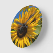 Zonnebloem Ronde Klok (Hoek)