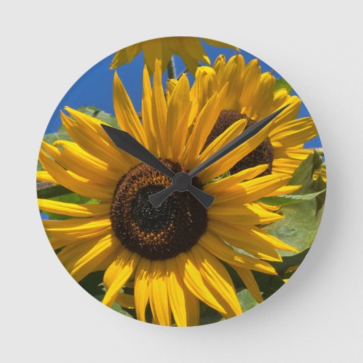Zonnebloem Ronde Klok (Voorkant)