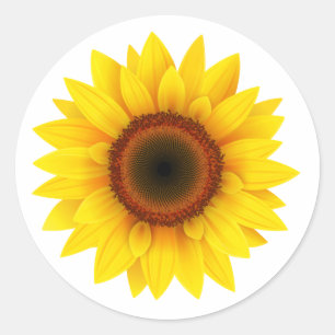 Zonnebloem Ronde Sticker