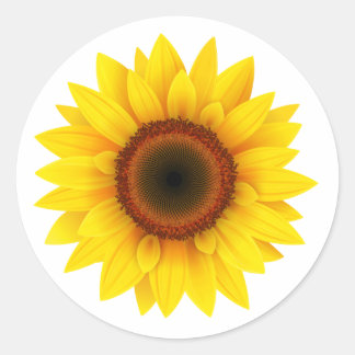 Zonnebloem Ronde Sticker