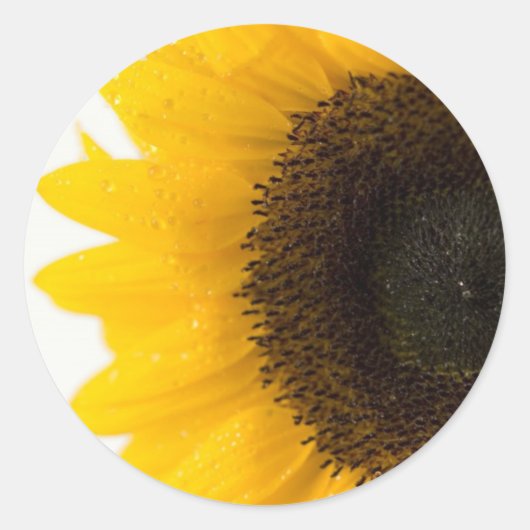 zonnebloem ronde sticker (Voorkant)