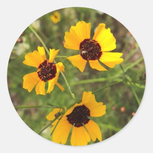 Zonnebloem Ronde Sticker (Voorkant)