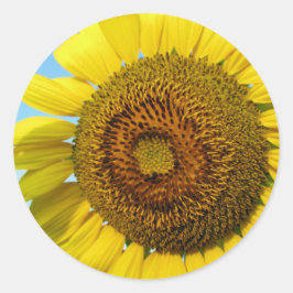 Zonnebloem Ronde Sticker