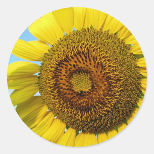 Zonnebloem Ronde Sticker (Voorkant)