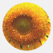 Zonnebloem Ronde Sticker (Voorkant)