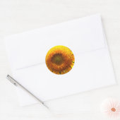 Zonnebloem Ronde Sticker (Envelop)