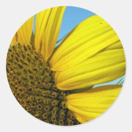 Zonnebloem Ronde Sticker
