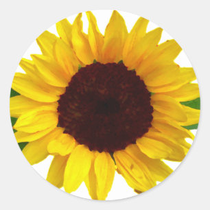 Zonnebloem Ronde Sticker