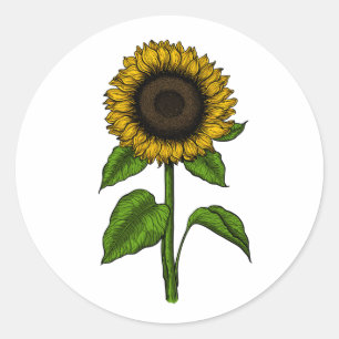 Zonnebloem Ronde Sticker