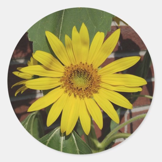 Zonnebloem Ronde Sticker (Voorkant)