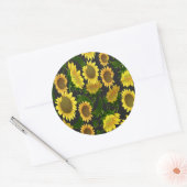 Zonnebloem Ronde Sticker (Envelop)