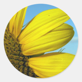Zonnebloem Ronde Sticker