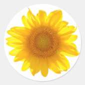Zonnebloem Ronde Sticker (Voorkant)