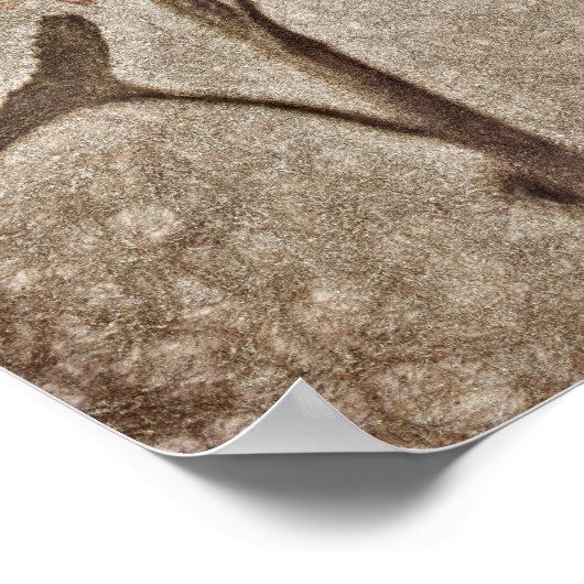 zonnebloem Roze Sepia Brown Rustic Textuur Poster (Hoek)