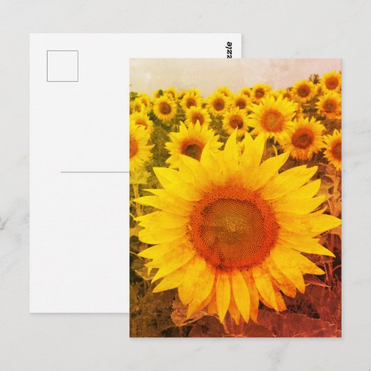 zonnebloem Rustic Foto Briefkaart (Voorkant / Achterkant)
