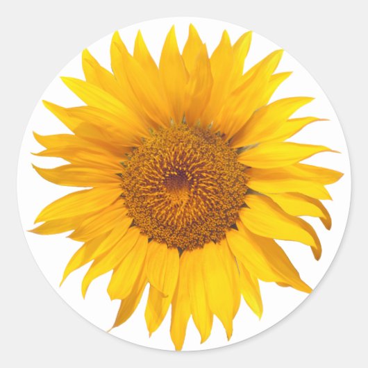 Zonnebloem rustieke bloemen bruiloft gunst ronde sticker (Voorkant)