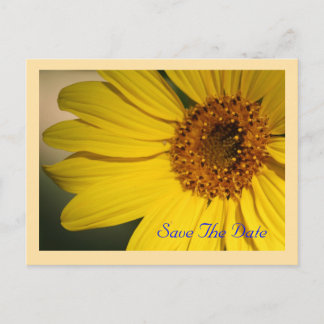 Zonnebloem Save The Date Ansichtkaart Aankondigingskaart