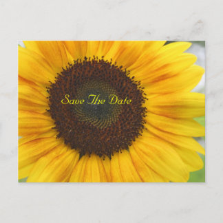 Zonnebloem Save The Date Ansichtkaart Aankondigingskaart