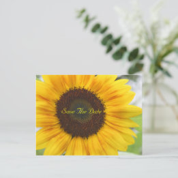 Zonnebloem Save The Date Ansichtkaart Aankondigingskaart