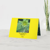 Zonnebloem Schoonheid Bedankkaart (Achterkant)