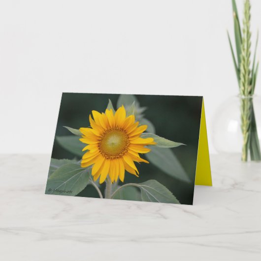 Zonnebloem Schoonheid Bedankkaart (Voorkant)