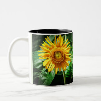 Zonnebloem Schoonheid Tweekleurige Koffiemok