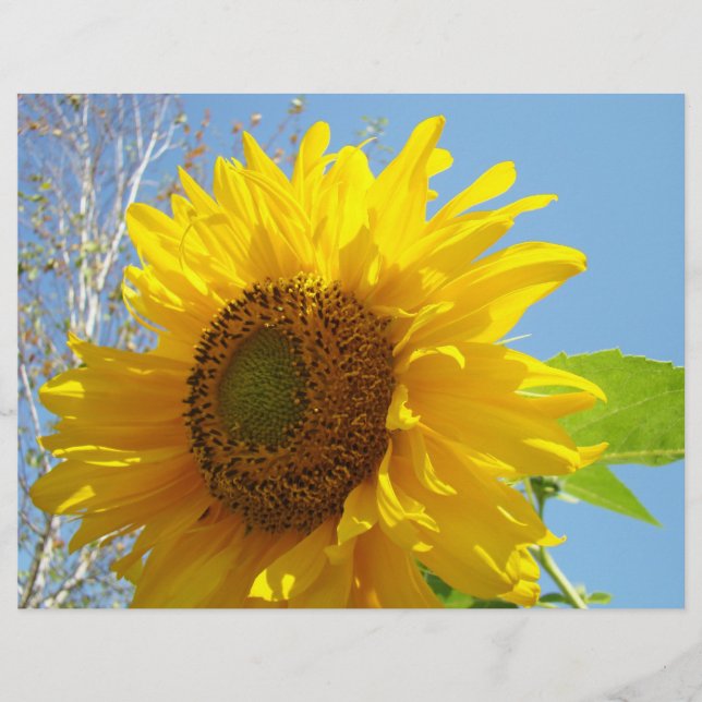 Zonnebloem scrapbookpapier Geel Bloem zomer (Voorkant)