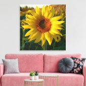 Zonnebloem sensatie verpakt Canvas Print (Insitu (Woonkamer))