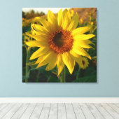 Zonnebloem sensatie verpakt Canvas Print (Insitu (Houten vloer))