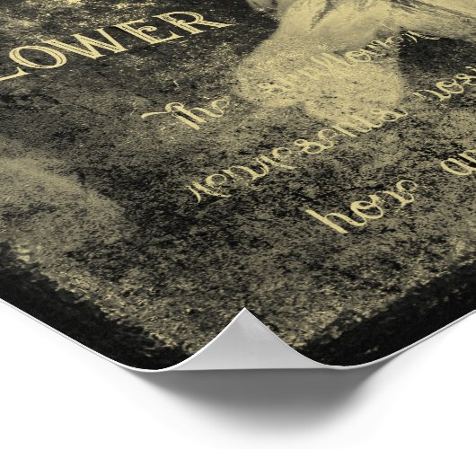 Zonnebloem Sepia Antiek Ephemera Textuur Poster (Hoek)