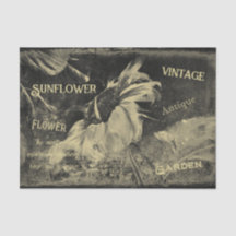 Zonnebloem Sepia  Antiek Ephemera Textuur