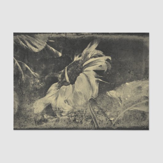 Zonnebloem Sepia  Antiek Grunge Textuur Tissuepapier (Voorkant)