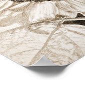  zonnebloem Sepia Brown Art ontkoppeling Poster (Hoek)