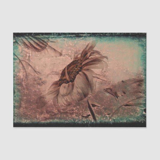 Zonnebloem Sepia Green Old  Antiek Texture Tissuepapier (Voorkant)