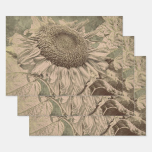 Zonnebloem Sepia Tinten Bruine Kunst Textuur Decou Inpakpapier Vel