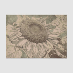 Zonnebloem Sepia Tinten Bruine Kunst Textuur Decou Tissuepapier