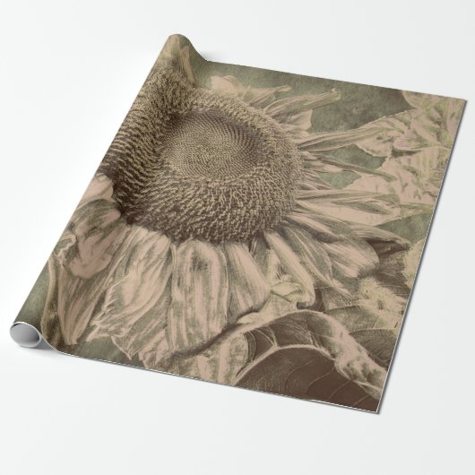 Zonnebloem Sepia Tone Brown Art Textuur Decoupage Cadeaupapier (Uitgerold)