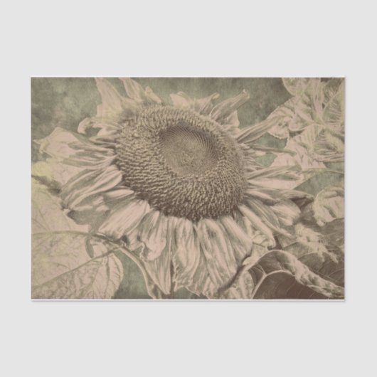 Zonnebloem Sepia Tone Brown Art Textuur Decoupage Tissuepapier (Voorkant)