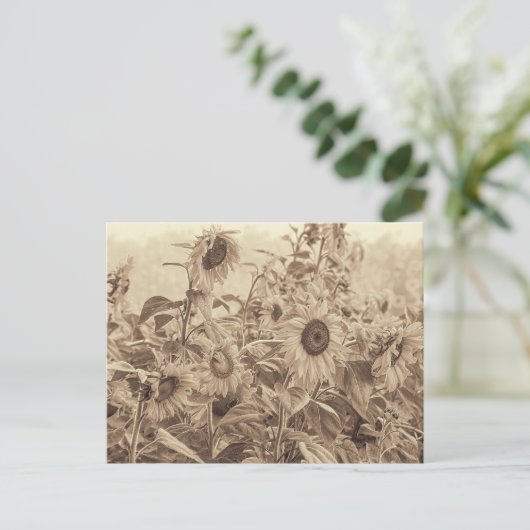 Zonnebloem Sepia Tone Fine Art Briefkaart (Staand voorkant)