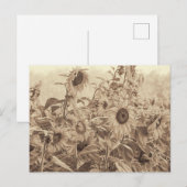 Zonnebloem  Sepia Tone Fine Art Briefkaart (Voorkant / Achterkant)