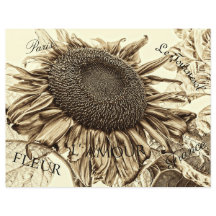  zonnebloem Sepia Tone Old Script Decoupage
