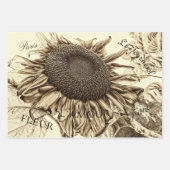  zonnebloem Sepia Tone Old Script Decoupage Inpakpapier Vel (Voorkant 2)