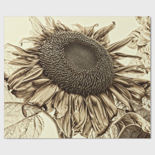  zonnebloem Sepia Tone Oude stijl Ontkoppeling Cadeaupapier (Vlak)