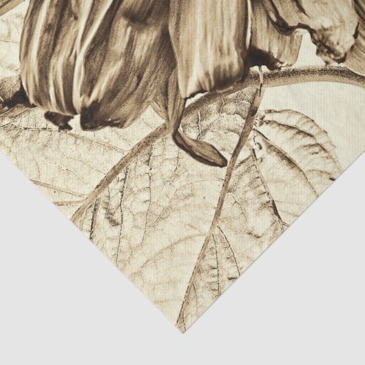  zonnebloem Sepia Tone Oude stijl Ontkoppeling Tissuepapier (Detail)