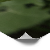 Zonnebloem serie 09 poster (Hoek)