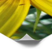 Zonnebloem serie poster (Hoek)