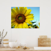 Zonnebloem serie poster (Keuken)