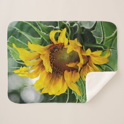 Zonnebloem Sherpa Deken (Voorkant (horizontaal))